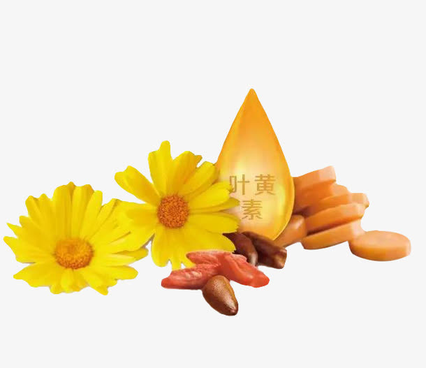 叶黄素成分植物免抠