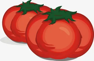 西红柿素材免抠