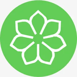 扁平化图标菊花符号免抠