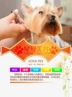 宠物店宣传单星级美容免抠