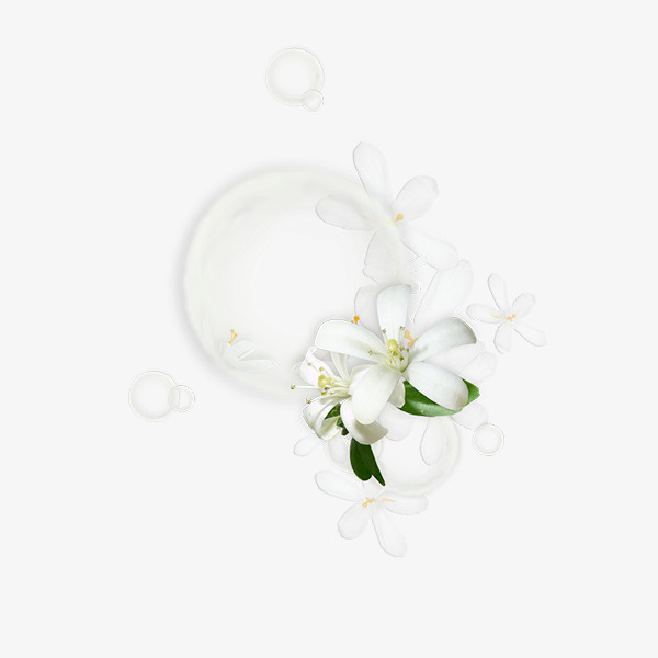 花边框免抠