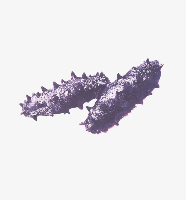 海参免抠