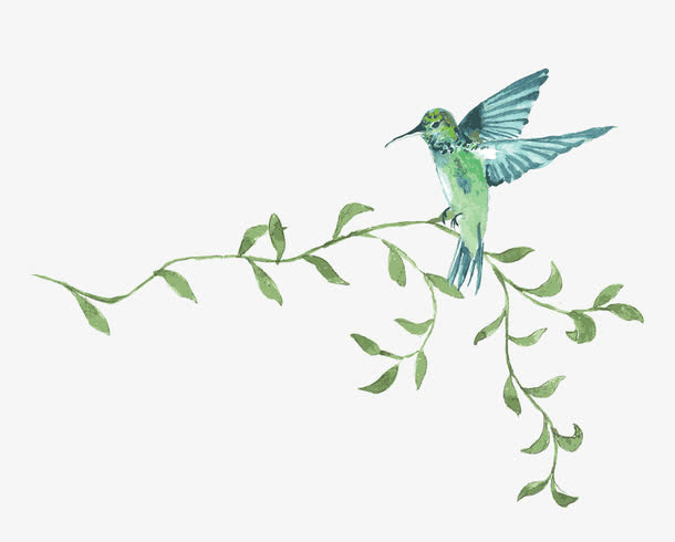 手绘花鸟免抠