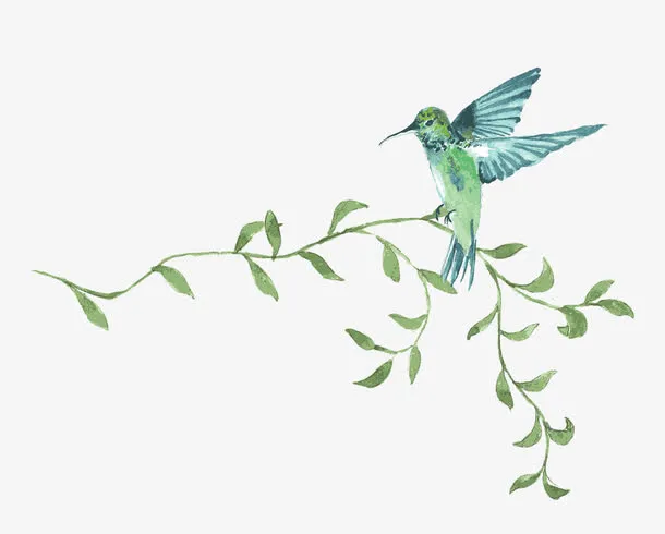 手绘花鸟免抠