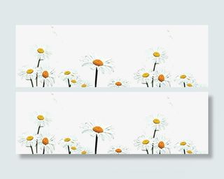 草地上的白色花朵免抠