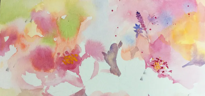花草高清