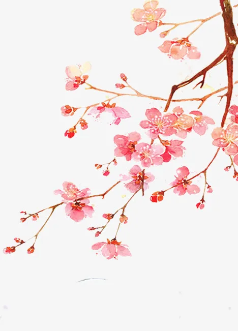 粉色水彩美丽桃花枝免抠