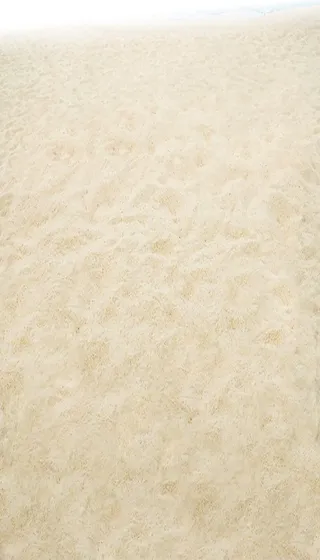 海滩沙滩背景高清