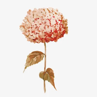 矢量红色枯叶小草花草手绘免抠