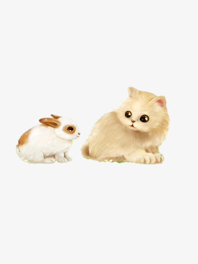 猫和小兔的对视免抠