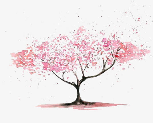樱花树免抠