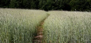 淘宝背景图高清