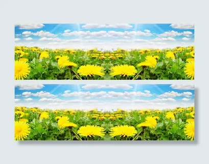 简约大气通用轮播免抠