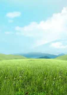 原野背景图
