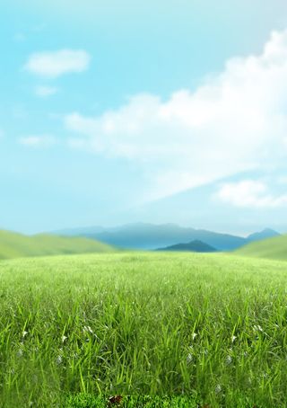 原野背景图