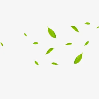 飘落着的树叶免抠动植物植物元素