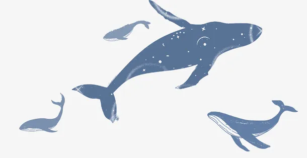 手绘梦幻海洋装饰插图海豚鲸鱼插免抠