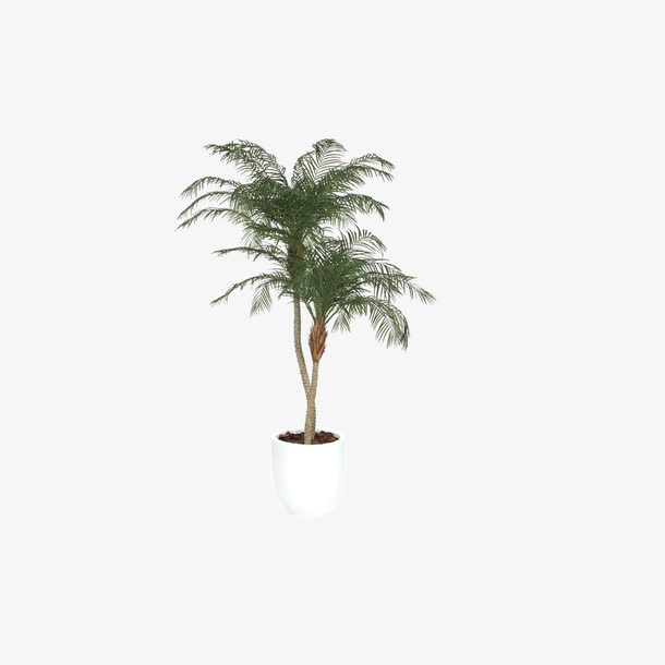 欧美流行插花 绿植物 鲜花软装免抠