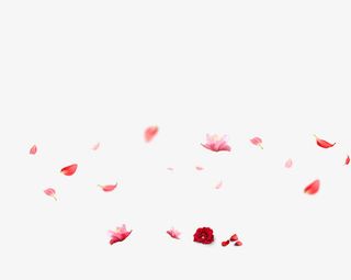 飘落的花瓣免抠