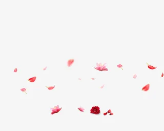 飘落的花瓣免抠