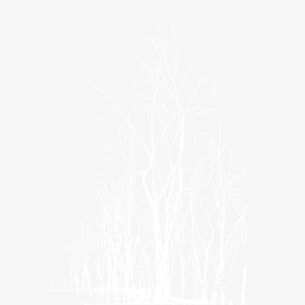 树枝树杈图案免抠