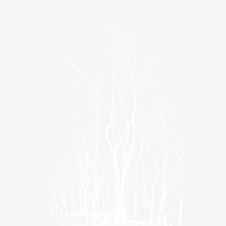 树枝树杈图案免抠