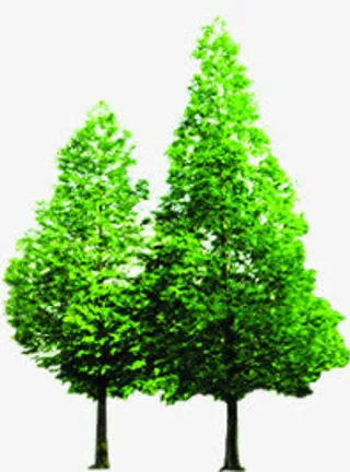 春天绿色茂密大树风景免抠
