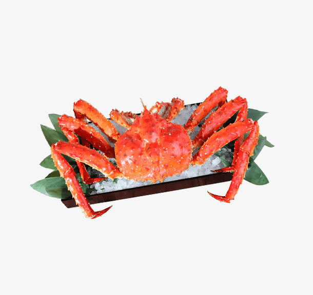 冰上的帝王蟹免抠