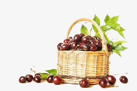 休闲樱桃采摘免抠