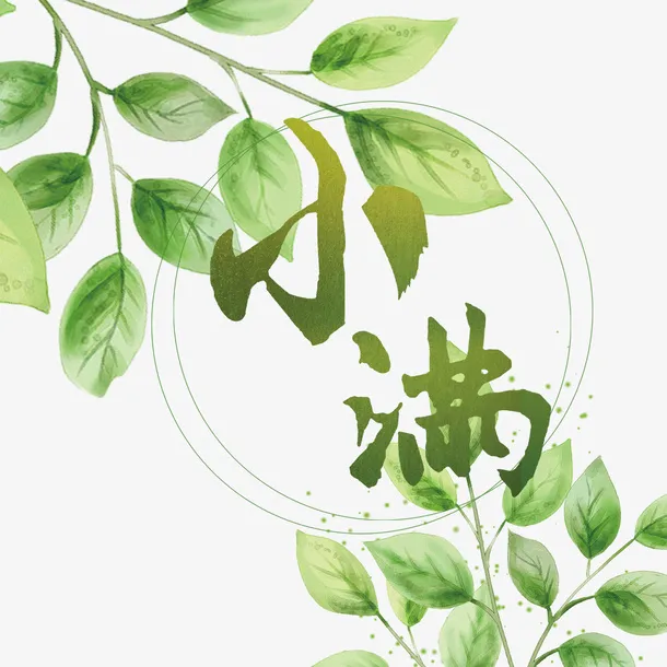 二十四节气小满绿色小清新海报免抠手绘/卡通卡通元素