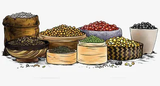 彩铅风格五谷杂粮素材免抠