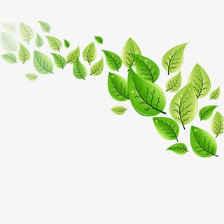 矢量春天叶子免抠