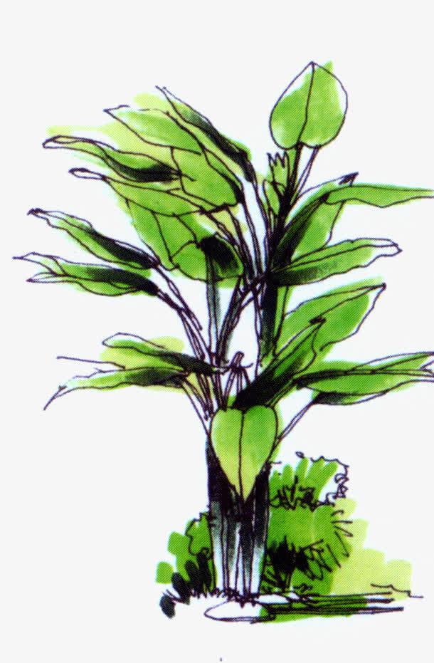 绘画绿色植物菜园海报免抠