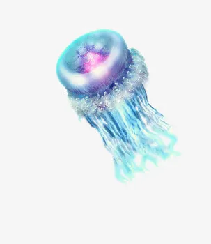 水母素材免抠