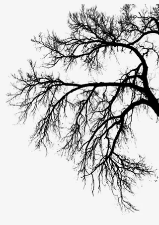 树枝 水墨画 中国画免抠