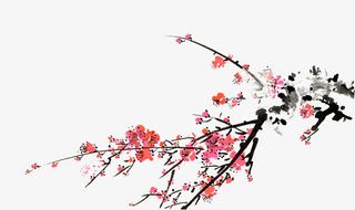 梅花免抠