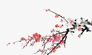 梅花免抠
