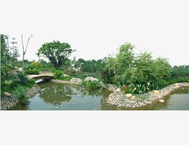 绿植园林景观免抠