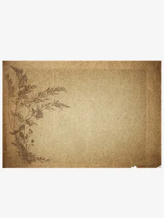 牛皮纸免抠