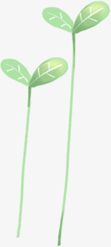 手绘水彩卡通绿色萌芽免抠