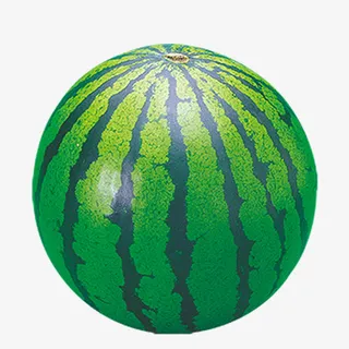 西瓜免抠
