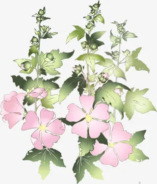 手绘粉色花免抠