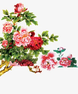 花开富贵牡丹绿叶免抠 花开富贵牡丹绿叶免抠