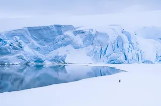 南极雪山冰面企鹅背影图免抠