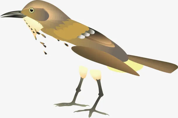 啄木鸟装饰手绘免抠