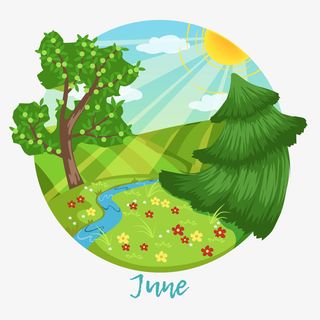 花落时节阳光明媚一年四季风景变免抠