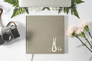 清新花朵花卉装饰摄影海报高清