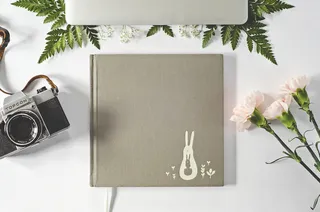 清新花朵花卉装饰摄影海报高清