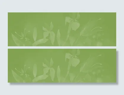 绿色底纹背景高清