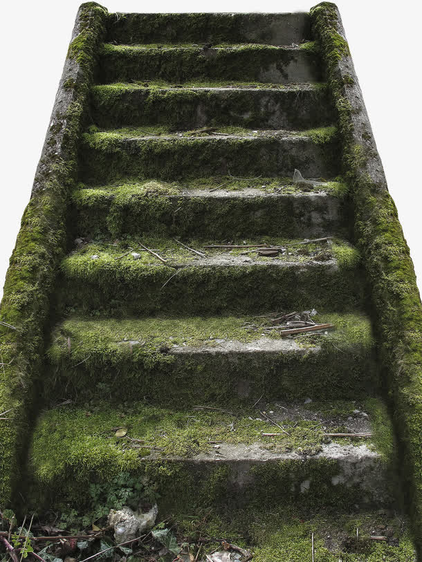 长青苔的阶梯免抠